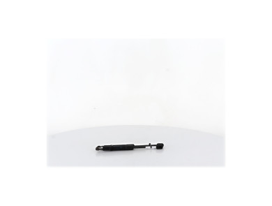 Verins capot - Renault SCENIC III PH.1 - Blanc - 654700008R - I0-1716H