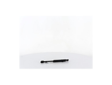 Verins capot - Renault SCENIC III PH.1 - Blanc - 654700008R - I0-1716H