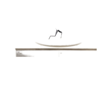 Front wiper arms (x2) - Citroen NEMO FOURGON - 1612074280 - N1-2726V