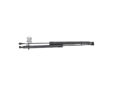 Trunk gas spring (x2) - Renault SCENIC III PH.2 - Gris Clair - 904500004R - U0-0012R