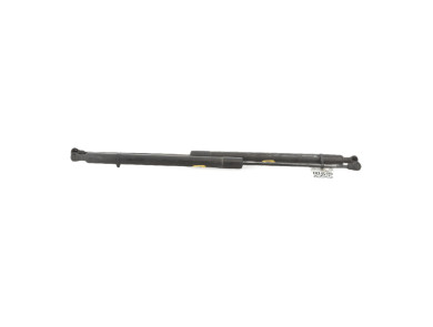 Trunk gas spring (x2) - Renault SCENIC III PH.2 - Gris Clair - 904500004R - U0-0012R