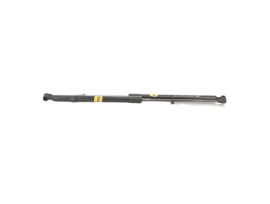 Paire verins coffre hayon malle - Peugeot 308 SW II PH.2 - Gris Fonce - 9836764480 - S0-4722K