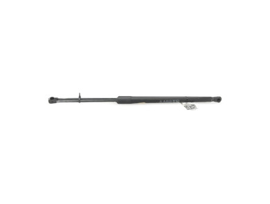 Paire verins coffre hayon malle - Seat arona PH 2 - Gris Fonce - 6F9827550D - P1-2938Z