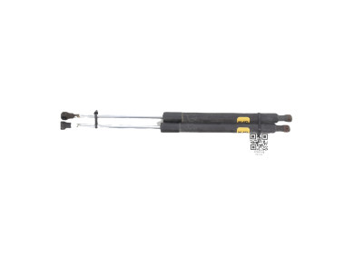 Trunk gas spring (x2) - Renault CLIO III PH.2 - Gris Clair - 8200299546 - B1-2562Y