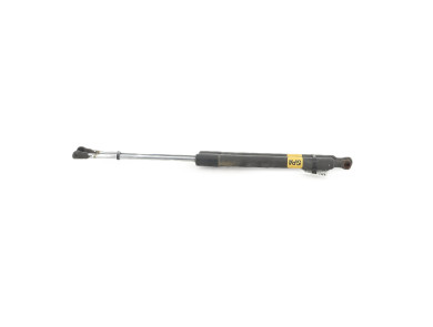 Paire verins coffre hayon malle - Renault CLIO III PH.2 - Gris Clair - 8200299546 - B1-2562Y