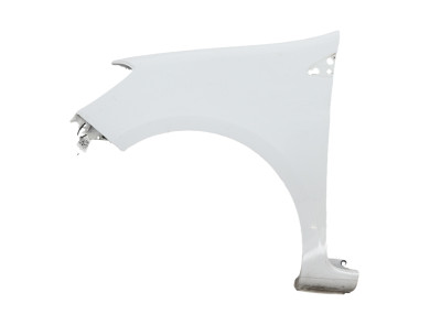 Left front fender - Renault CLIO III PH.2 - Blanc - 631014270R - H0-4161Y