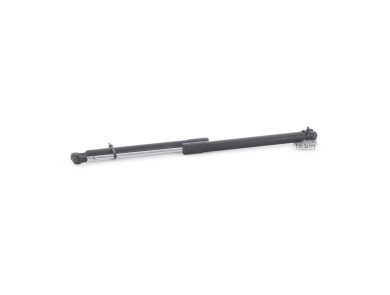 Trunk gas spring (x2) - Renault CLIO III PH.2 - Blanc - 8200299546 - W1-8289Z