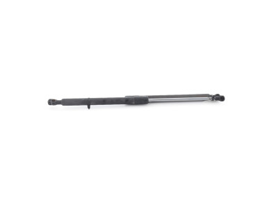 Paire verins coffre hayon malle - Renault CLIO III PH.1 - 8200299546 - Q1-8191E