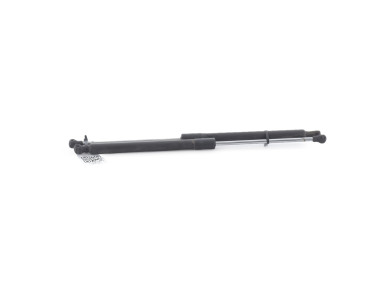 Paire verins coffre hayon malle - Renault CLIO III PH.1 - 8200299546 - Q1-8191E