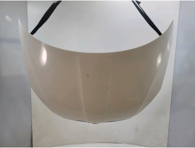 Hood (Bonnet) - Skoda FABIA II PH.2 - Blanc - 5J0823031B - S1-1983L