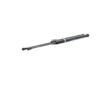 Trunk gas spring (x2) - BMW SERIE 6 - Gris Fonce - 51247008764 - P0-6022X