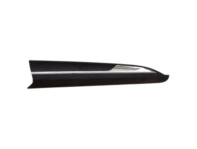 Right front door trim