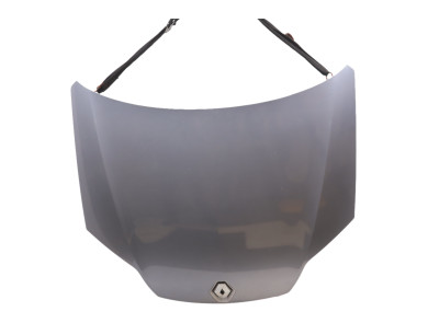 Capot - Renault LAGUNA ESTATE III PH.1 - Bleu Clair - 651000021R - X0-9016Z
