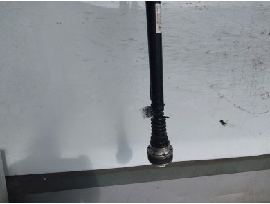 Front drive shaft - Ford RANGER PICK-UP V NS1K_TYPE - 2798512 - X1-8938V