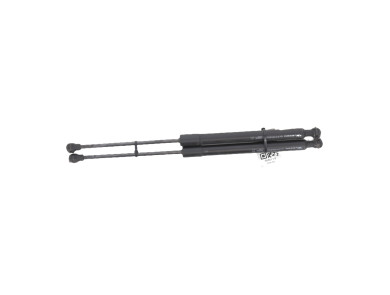 Trunk gas spring (x2) - Renault ZOE PH.1 - Blanc - 904502915R - A1-1999S