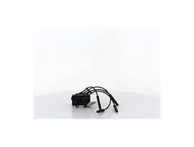 Ignition coil - Dacia SANDERO I - 224336134R - W0-8802R