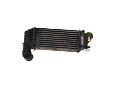 Intercooler - Peugeot 406 PH.2 - 0384F3 - J1-1478R