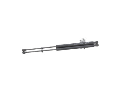 Paire verins coffre hayon malle - Renault CLIO III PH.1 - Gris Clair - 8200299546 - H1-7319K