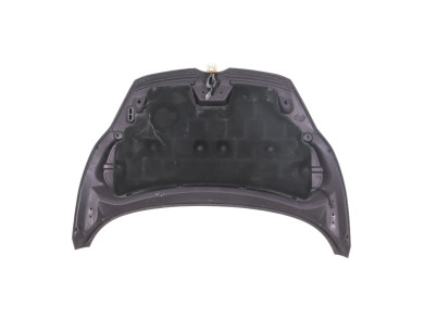 Capot - Ford FIESTA VI PH.1 - Inconnu - 1774791 - M1-5911Z