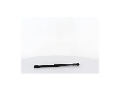 Trunk gas spring (x2) - Renault CLIO III PH.2 - Beige Fonce - 8200299546 - N1-7435C