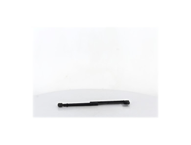 Trunk gas spring (x2) - Renault CLIO III PH.2 - Beige Fonce - 8200299546 - N1-7435C