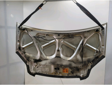 Hood (Bonnet) - Honda FR-V - Gris Clair - 60100SJD305ZZ - H1-9728V