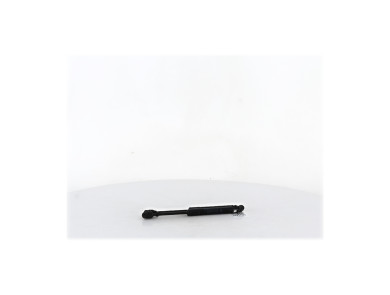 Verins capot - Renault SCENIC III PH.1 - Inconnu - 654700008R - G1-6864F