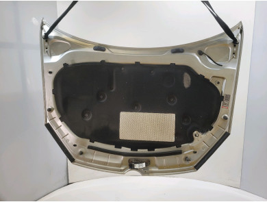 Hood (Bonnet) - Volkswagen GOLF VI - 5K0823031G - S1-6779M
