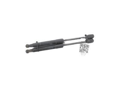 Verins capot - Renault SCENIC III PH.1 - Bleu Clair - 654700008R - F1-7013K