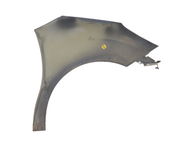 Left front fender - Citroen C3 II PH.1 - Noir - 00007840X7 - G1-2878E