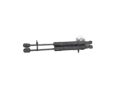Verins capot - Renault SCENIC III PH.1 - Gris Fonce - 654700008R - T1-1929A