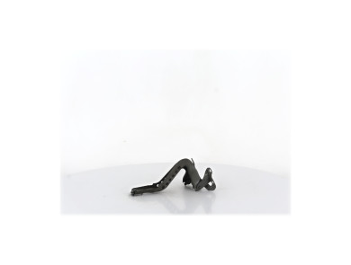 Charnières de capot - Peugeot 108 - Gris Fonce - B000831980 - V0-8641H