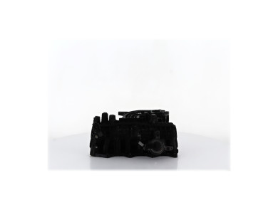 Collecteur d'admission - Chevrolet CAPTIVA PH.3 2.2 VCDI - 25193560 - L1-5585N