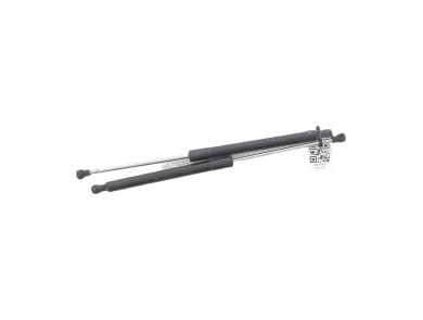 Paire verins coffre hayon malle - Renault CLIO III PH.2 - Gris Clair - 8200299546 - Y1-6395U