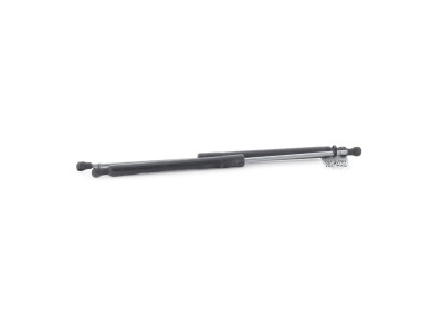 Trunk gas spring (x2) - Renault CLIO III PH.2 - Gris Clair - 8200299546 - Y1-6395U