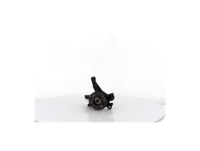 Pivot avant gauche - Ford FIESTA VI PH.2 - 1822687 - T1-8073H