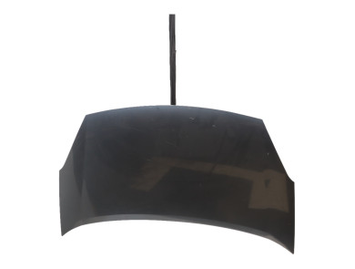 Hood (Bonnet) - Peugeot PARTNER TEPEE II PH.1 - Gris Clair - 00007901P7 - T1-3187Z