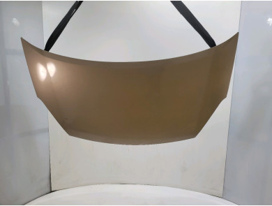 Capot - Citroen BERLINGO II PH.1 - Beige Clair - 00007901P7 - L1-8813P