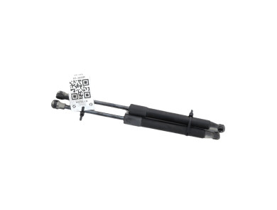 Paire verins coffre hayon malle occasion - Smart FORTWO CITY - Q0000618V007000000