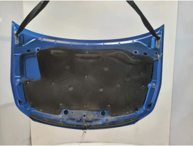 Hood (Bonnet) - Suzuki SX4 I - Inconnu - 57300-79J00 - R1-8346W