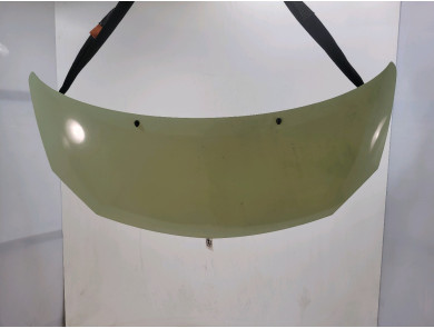 Hood (Bonnet) - Renault TWINGO II PH.1 - Jaune Clair - 651003355R - P1-3860T