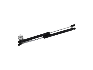 Paire verins coffre hayon malle - Renault CLIO III PH.2 - Gris Fonce - 8200299546 - Z1-5299R