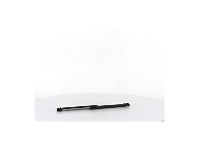 Trunk gas spring (x2) - Renault CLIO III PH.2 - Gris Fonce - 8200299546 - Z1-5299R