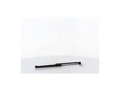 Paire verins coffre hayon malle - Renault CLIO III PH.2 - Blanc - 8200299546 - Q1-5384Y