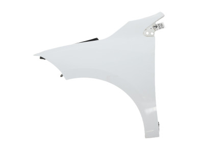 Left front fender - Renault MEGANE III PH.2 - Blanc - 631011470R - E1-1667P