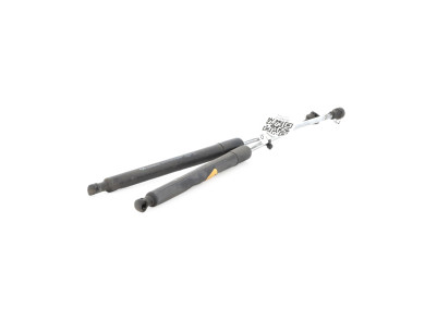 Trunk gas spring (x2) - Renault CLIO III PH.2 - Blanc - 8200299546 - J1-0300Z