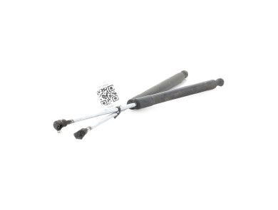 Paire verins coffre hayon malle - Renault CLIO III PH.2 - Blanc - 8200299546 - J1-0300Z