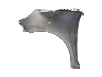 Right front fender - Renault SCENIC III PH.3 - Gris Clair - 631002345R - P0-9403M