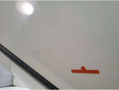 Left door (3-door models only) - Renault TWINGO II PH.1 - Blanc - 801010419R - L1-5928R
