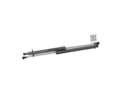 Paire verins coffre hayon malle - Renault CLIO III PH.2 - Rouge Fonce - 8200299546 - N1-4652T